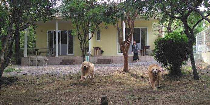 Hale Ilio（静岡県 ペンション） / 1