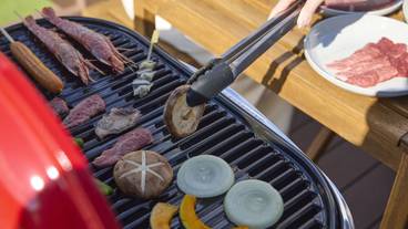 バーベキュー / ピクニック エリア / 5