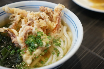 「手打うどん すみた」料理 573964 いか天ぷらうどん