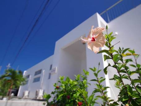 UmiOto ウミオト【女子旅に大人気の宿】 / 2