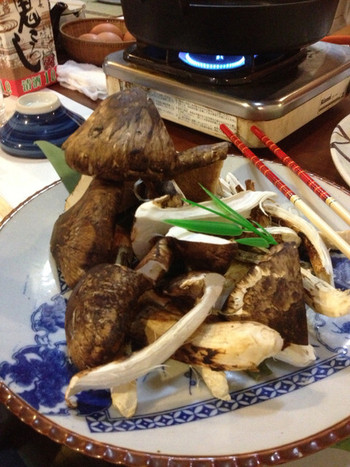 湖翠荘 (三田市)1306018
