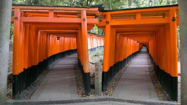 観光スポット / 5