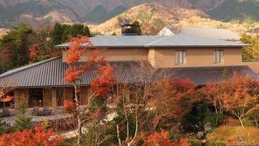 箱根翡翠（ハコネヒスイ） / 1