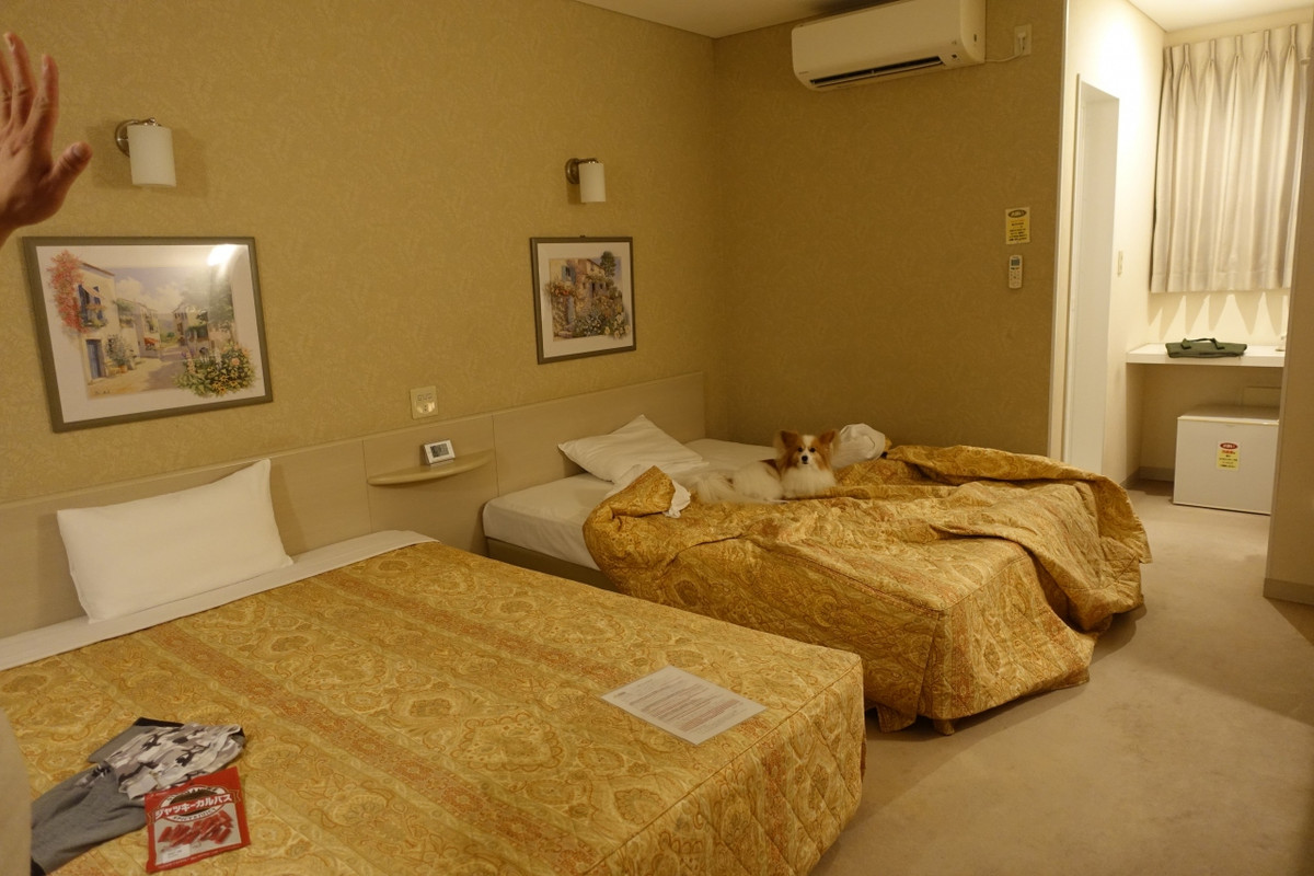 ふるい感じです