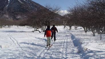 スノー スポーツとスキー / 4