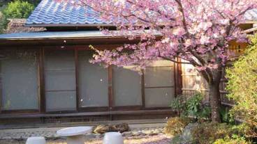 テラス / パティオ / 9