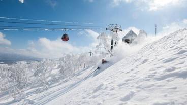 スノー スポーツとスキー / 8