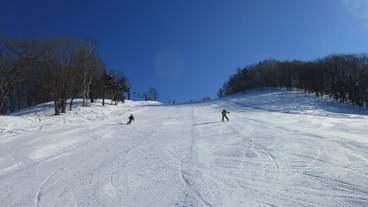 スノー スポーツとスキー / 7