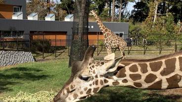 観光スポット / 10