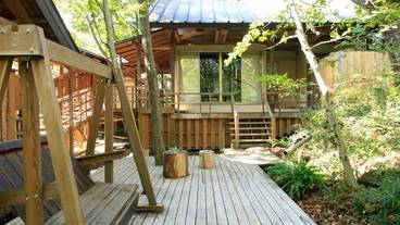 野を愛でる 菜の花 テラス / 26