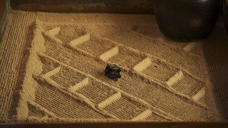 和室 8畳と囲炉裏の間