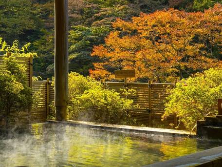 伊香保温泉 福一 / 2