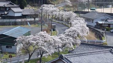 施設からの眺望 / 5