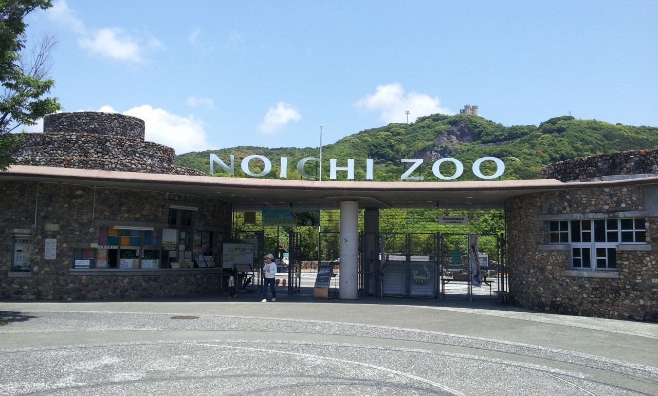 「高知県立のいち動物公園」へぶらり旅1978597