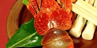 彩り鮮やか！石垣島で食べられる南国海鮮居酒屋7選