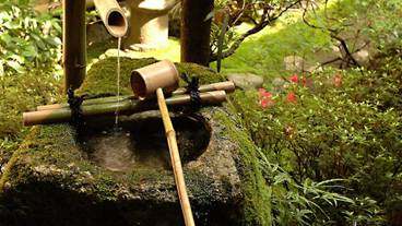 建物のデザイン / 13