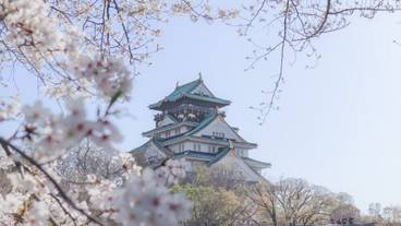 観光スポット / 4