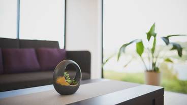 リビング エリア / 15