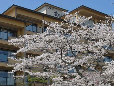 おごと温泉 びわ湖花街道 / 5