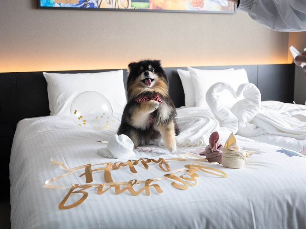 ペット用設備・サービス