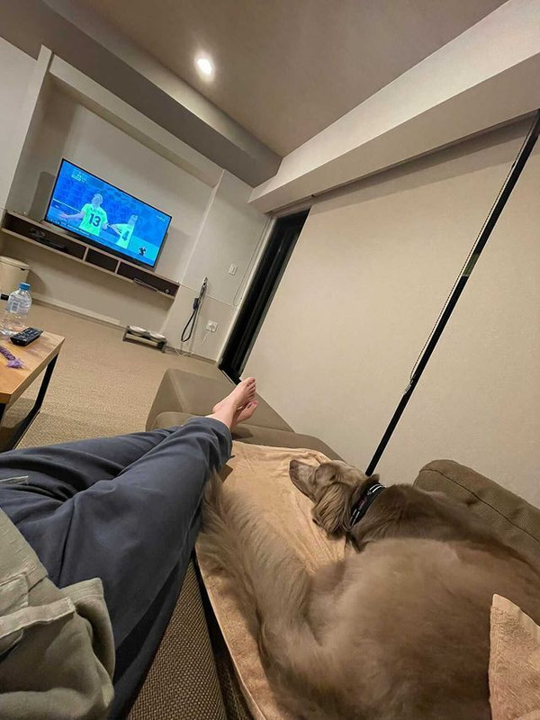 aoblue_._さんの写真 / 3