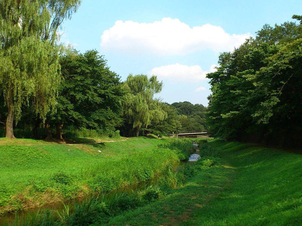 7. 野川公園1153068