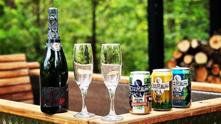 ヴィラ 1 ベッドルーム