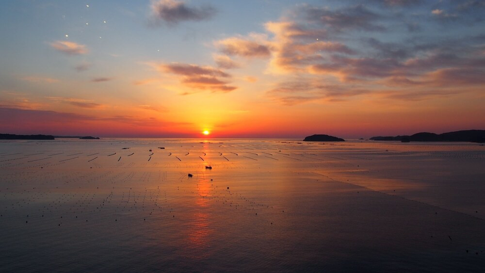 施設からの眺望