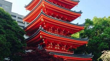 観光スポット / 32