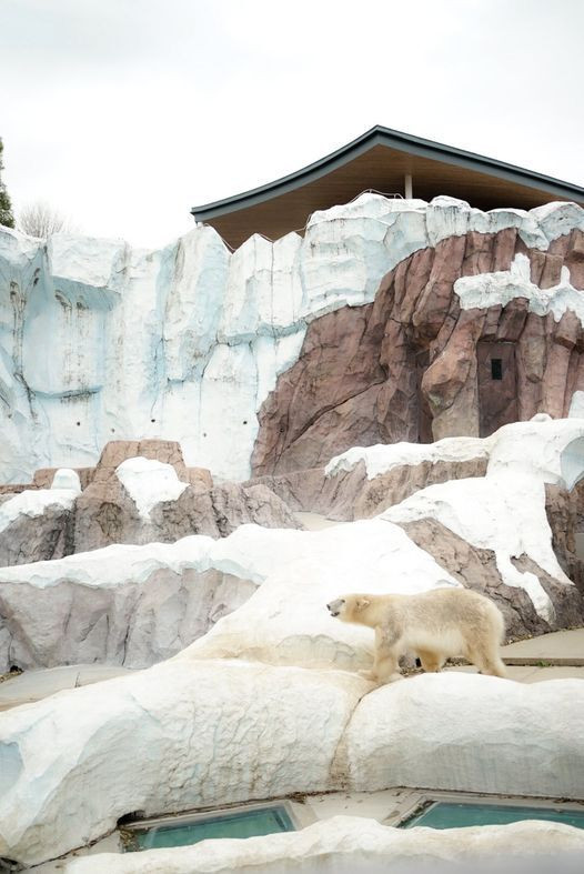 su_zoo_sansanさんの写真 / 2