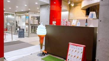 テラス / パティオ / 15