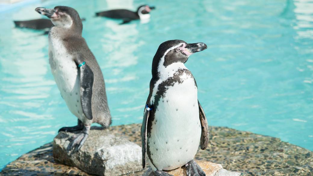ファミリー旅の始まりは
「京都市動物園」から / 4