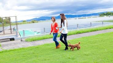 施設からの眺望 / 27