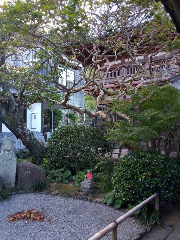 お庭はお寺の方が丁寧に手入れ＆掃除していました