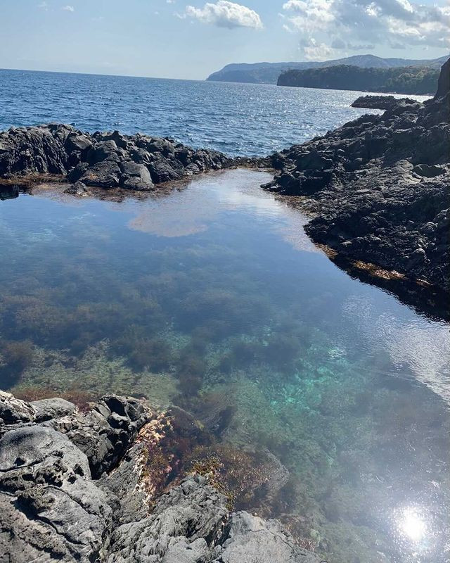 yuri_szkさんの写真 / 2