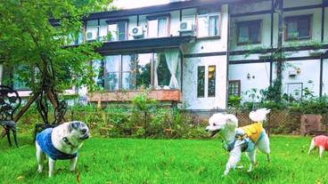 施設の敷地 / 16