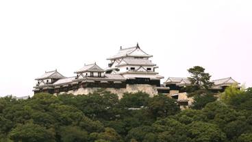 観光スポット / 5