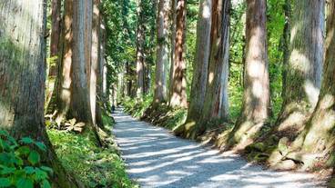 観光スポット / 21