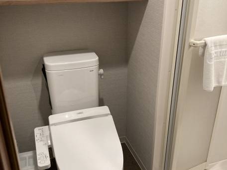 天然温泉 浪華の湯 ドーミーイン大阪谷町 / 4