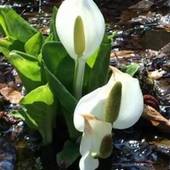 四季の宿 すばる（長野県 ペンション） / 2