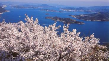 観光スポット / 4