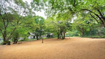 ペット同伴可 / 3