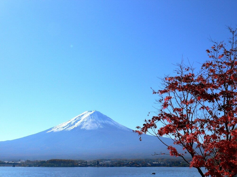 大切な記念日に富士山を眺めて一生の思い出に♡3450312