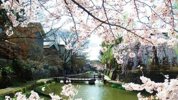 施設の敷地 / 16