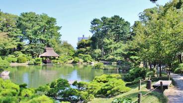 観光スポット / 6