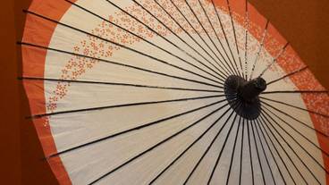 リビング エリア / 17