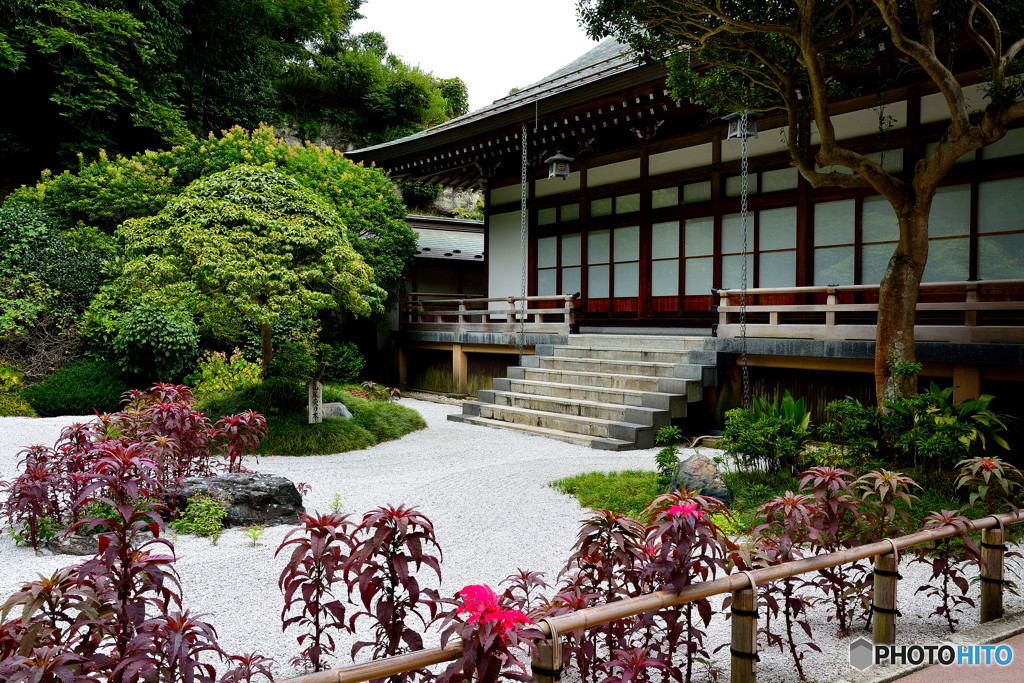 枯山水の庭園も楽しんで1167917