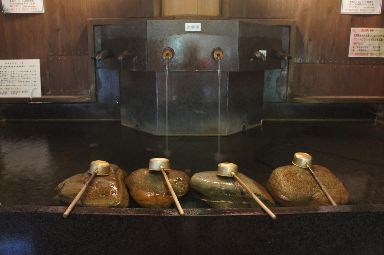 珍しい「炭酸泉」を堪能4026197