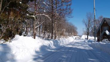 施設からの眺望 / 17