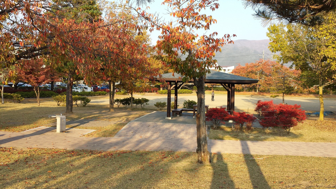 新緑が輝く「あがたの森公園」1070372